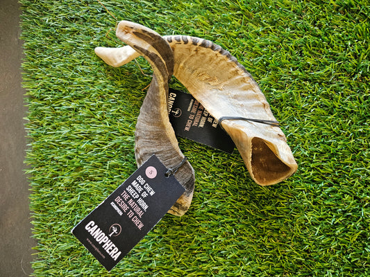 Sheep Horn Chew